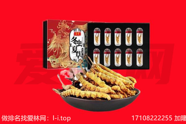 宜春市铜鼓回收虫草.jpg